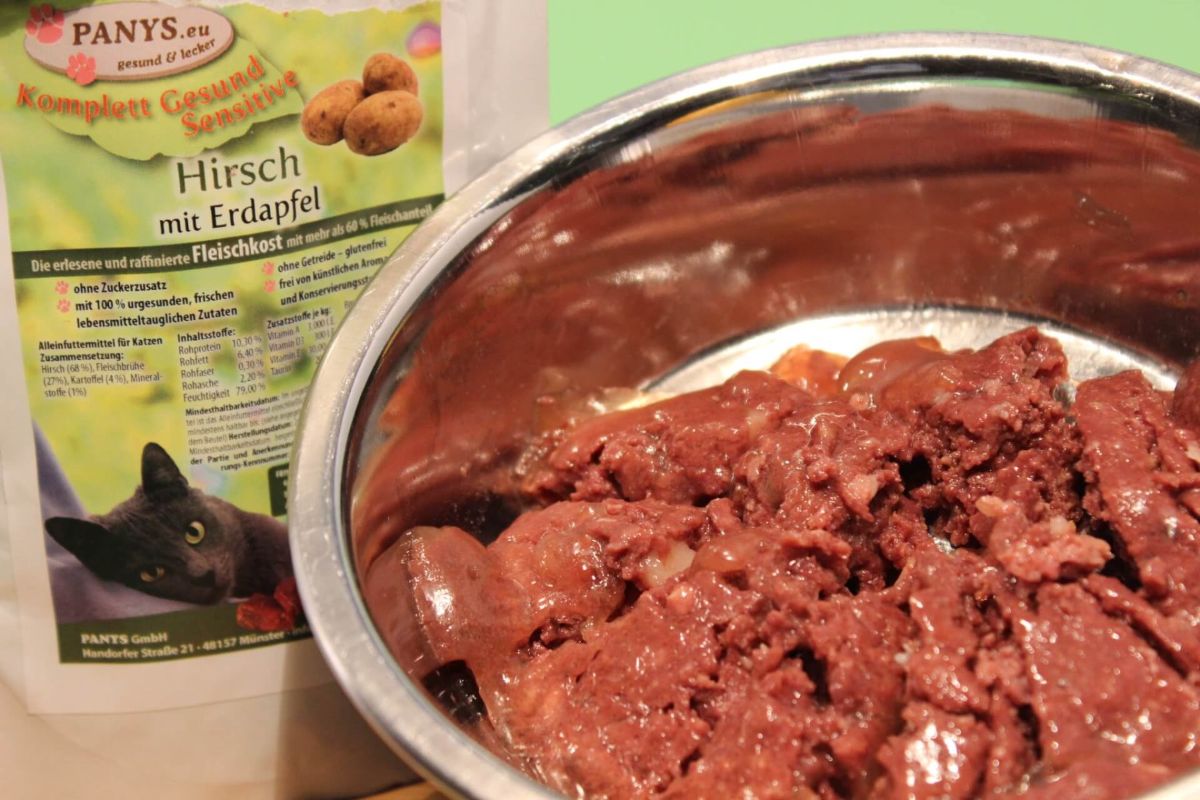 1. Probeset "Komplett-Gesund" für Katzen 6 Stk. in 95g